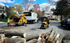 Best Lawn Pest Prevention  in Lenoir City, TN