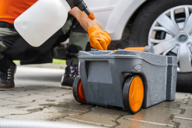Best Grass Overseeding  in Lenoir City, TN